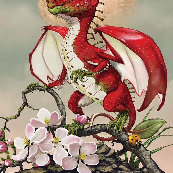 Field Guide To Garden Dragons