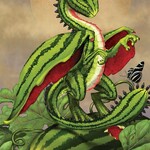 Field Guide To Garden Dragons