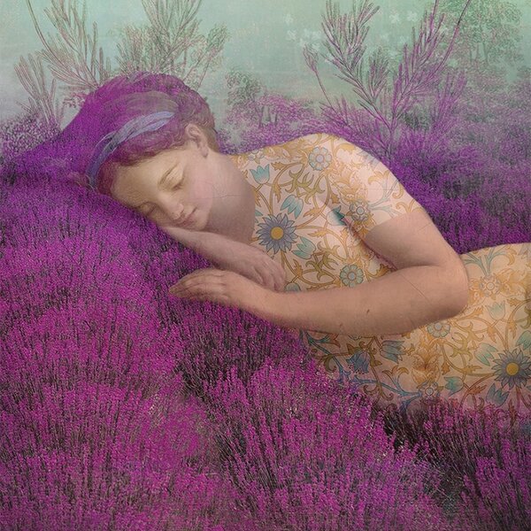 Botanical Dreams Oracle