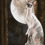 Cat Mythos & Magick Oracle