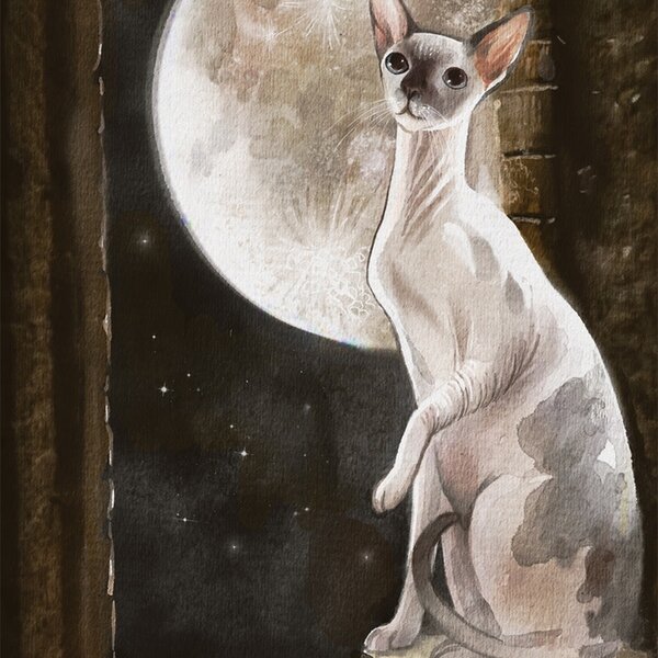 Cat Mythos & Magick Oracle
