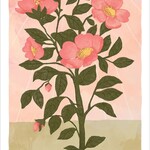 The Harmony Tarot