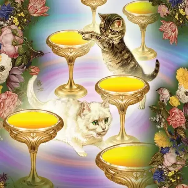 The Unifying Consciousness Tarot