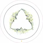 Transparent Oracle: Oracle Kit with 77 Cards and Guide Book