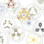 Transparent Oracle: Oracle Kit with 77 Cards and Guide Book