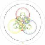 Transparent Oracle: Oracle Kit with 77 Cards and Guide Book
