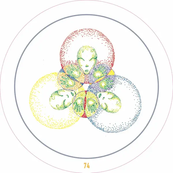 Transparent Oracle: Oracle Kit with 77 Cards and Guide Book
