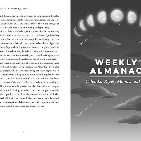 Llewellyn's 2027 Moon Sign Book