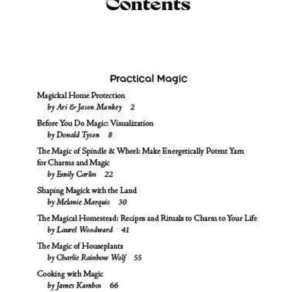 Llewellyn's 2027 Witches' Companion