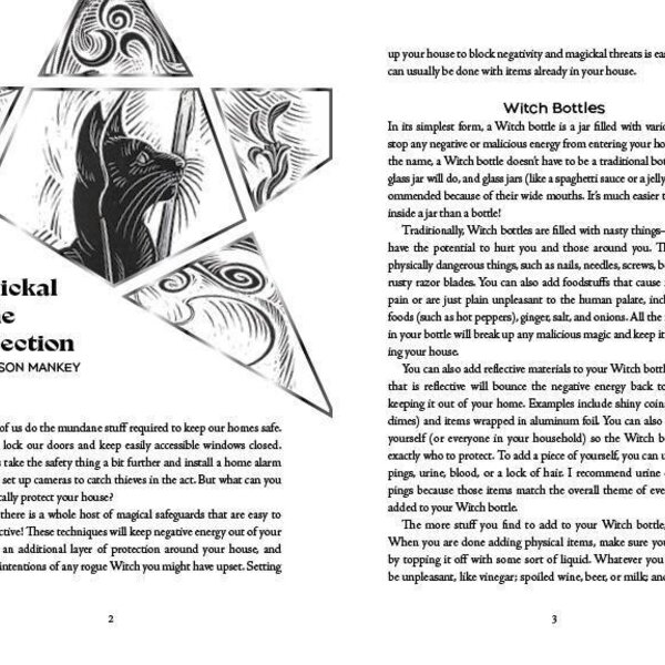 Llewellyn's 2027 Witches' Companion
