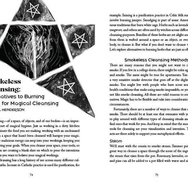 Llewellyn's 2027 Witches' Companion