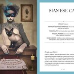 Cats, A Mystical Guide by Fabiana Belmonte