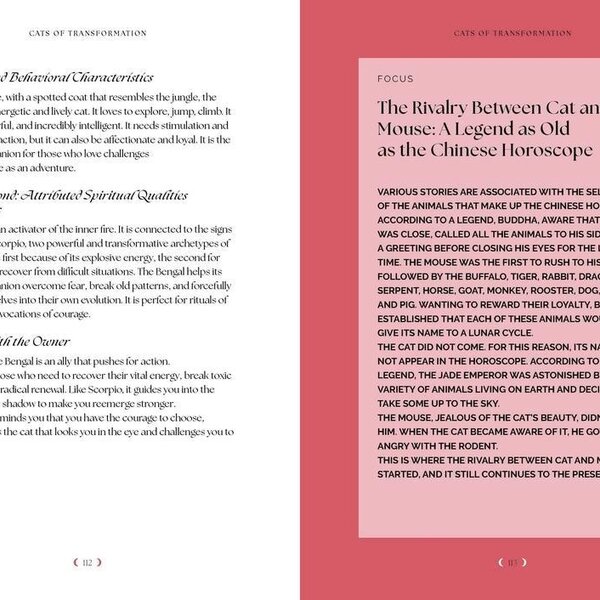Cats, A Mystical Guide by Fabiana Belmonte