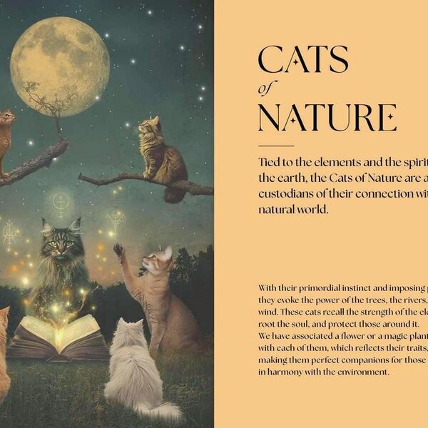 Cats, A Mystical Guide by Fabiana Belmonte
