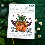 The Apothecary of Belonging: Seasonal Rituals & Herbalism
