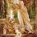 Mystic Palette Tarot Muted Tone Edition