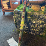 Lily Pond Wand - Energy of Earth & Air by Penny Cabot