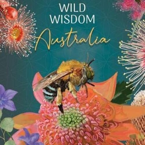 Wild Wisdom Australia: 44 full colour cards