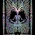 Morbid Mirror Oracle