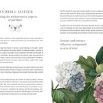 Olfactory Code by Caterina Roncati