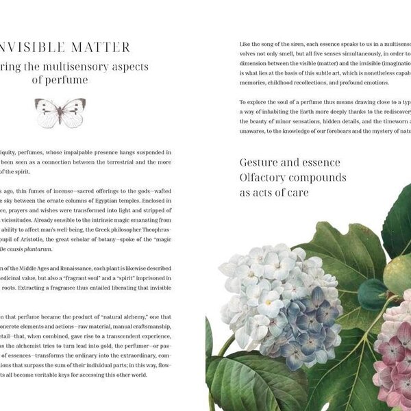Olfactory Code by Caterina Roncati
