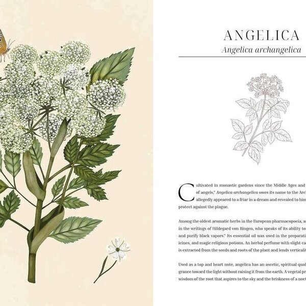 Olfactory Code by Caterina Roncati