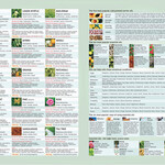 Aromatherapy Guide by Stefan Mager