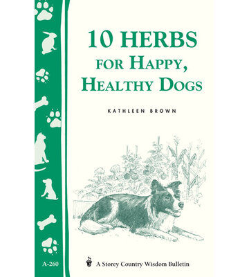 10 Herbs For Happy, Healthy Dogs