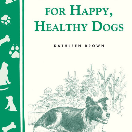 10 Herbs For Happy, Healthy Dogs