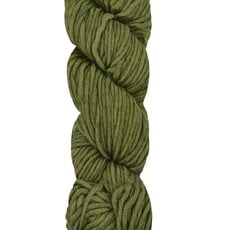 Circulo Circulo Bossa Nova