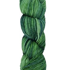 Circulo Circulo Bossa Nova