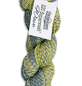 Cascade Yarns 220 SW Wave