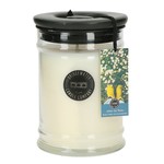 After the Rain Large Candle 18OZ