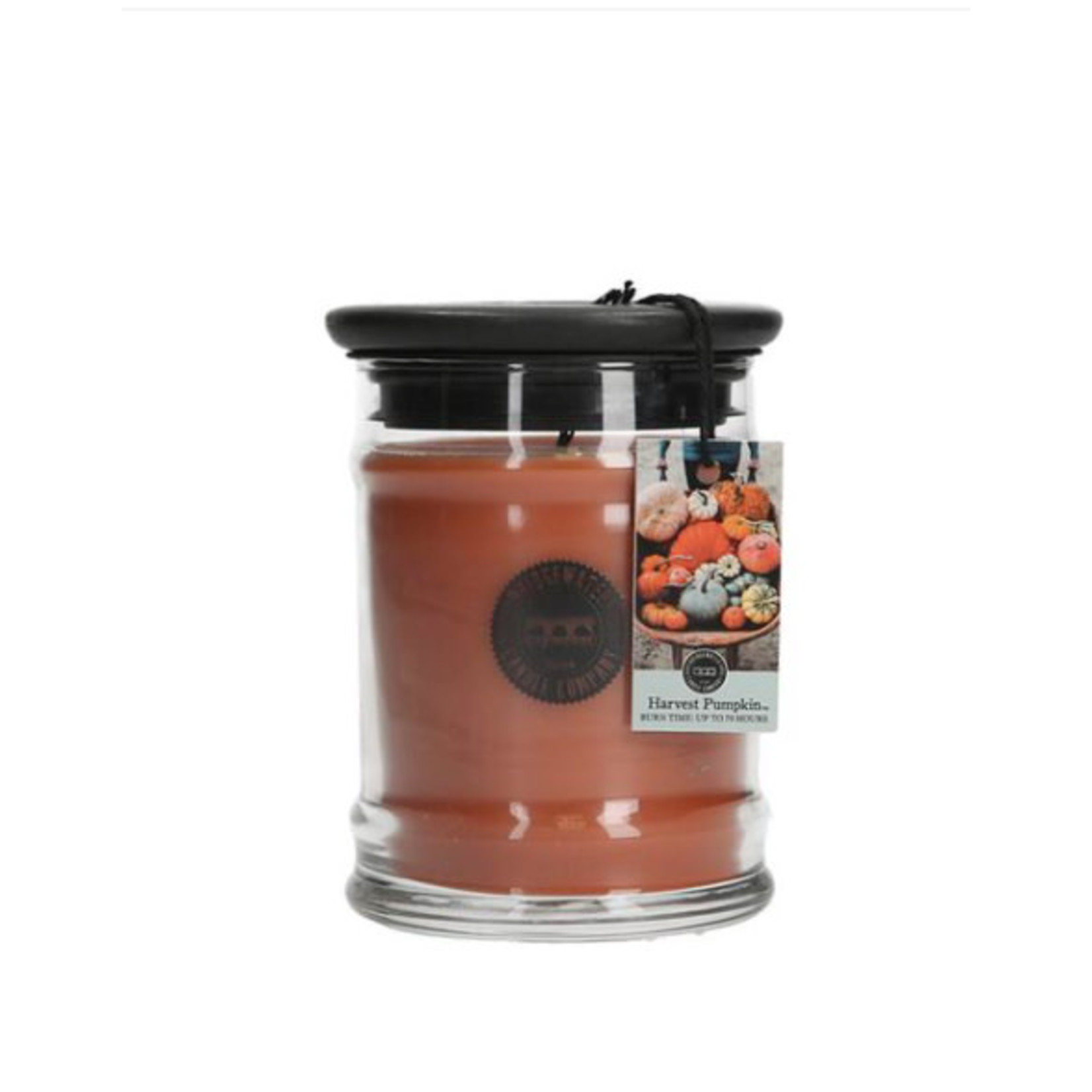 Harvest Pumpkin Small Jar Candle 8.8 OZ