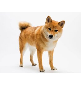 Ecom Matrix Item (Img parent + 1 child)