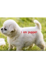 Ecom Matrix Item (Img parent + 1 child)