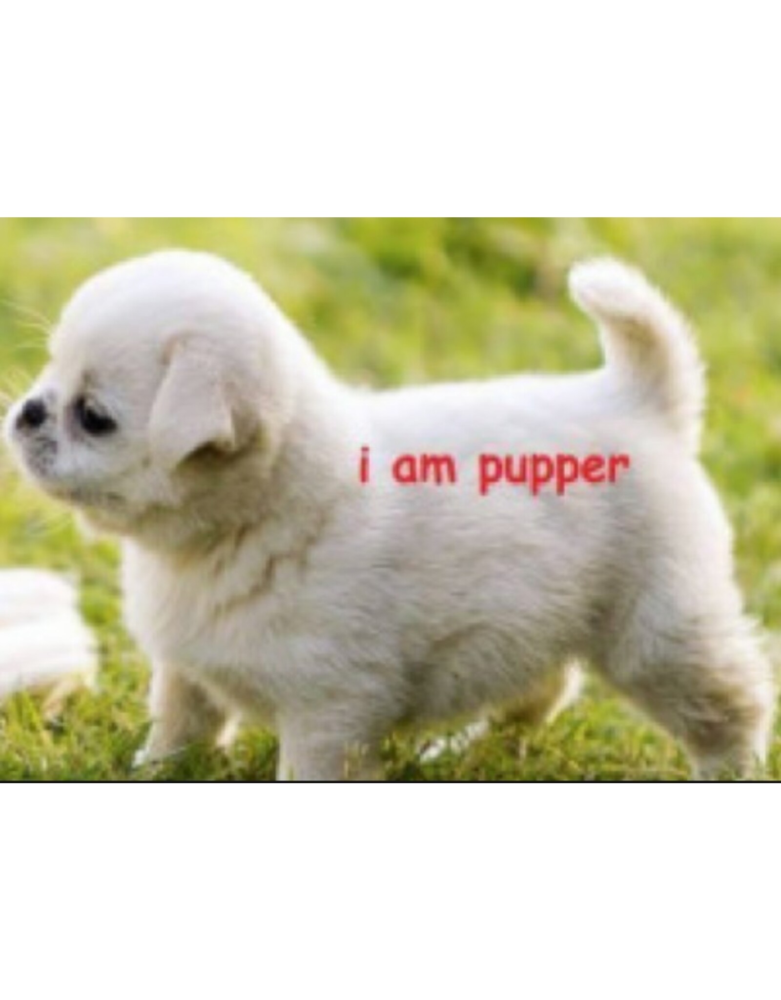 Ecom Matrix Item (Img parent + 1 child)