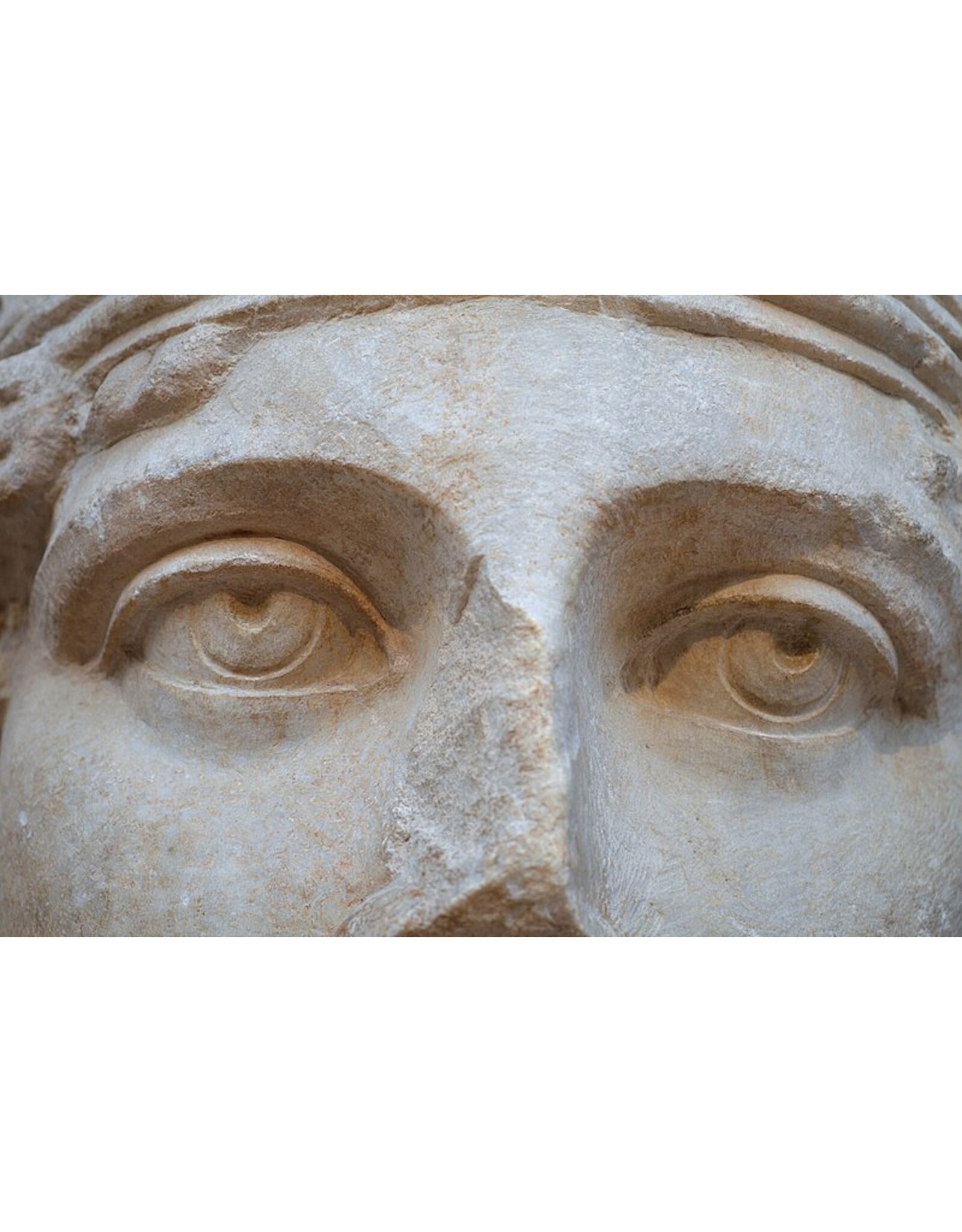 Avenger Tshirt - Special Edition