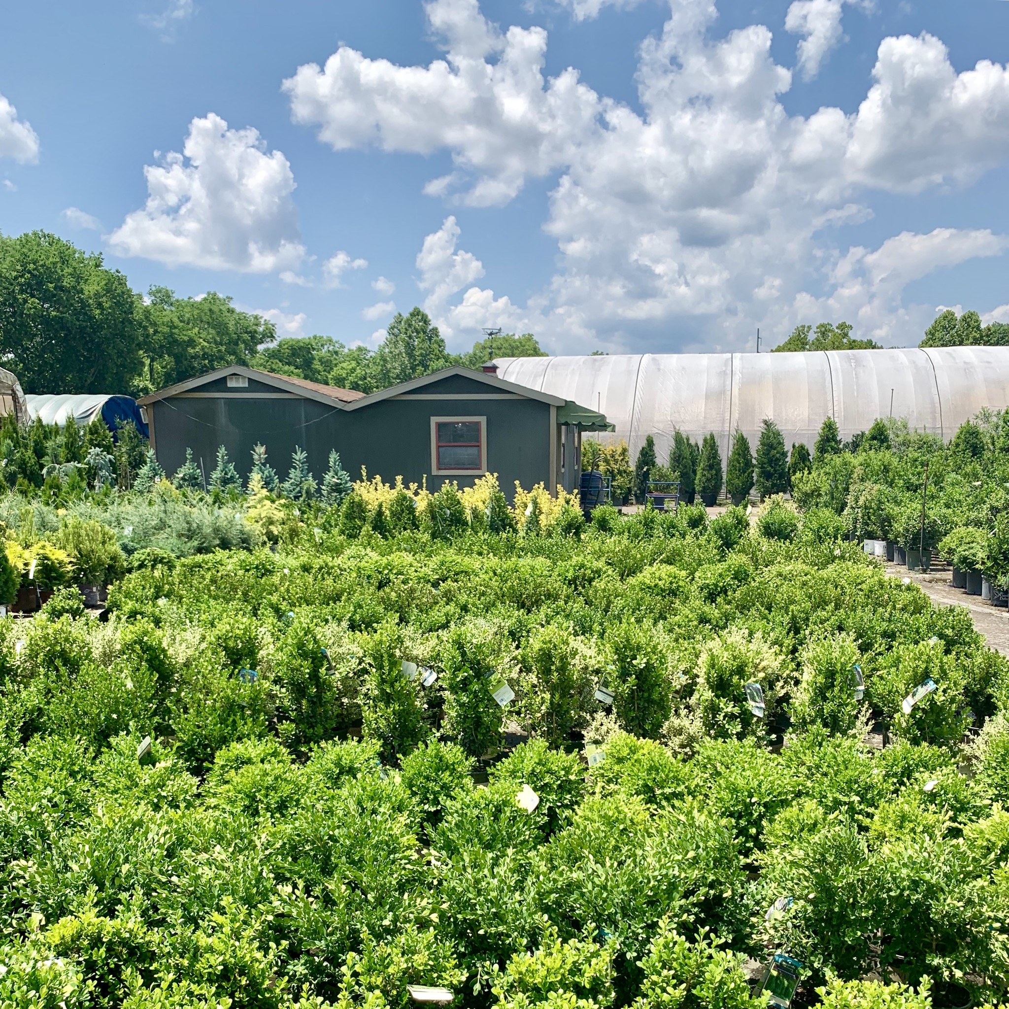 bates nursery