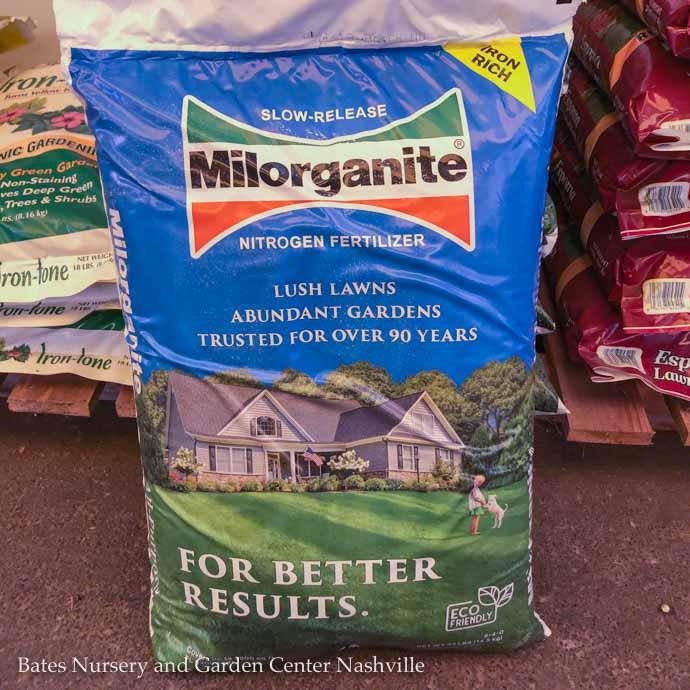 32Lb Milorganite Organic Lawn Fertilizer 6-4-0 - Bates Nursery and