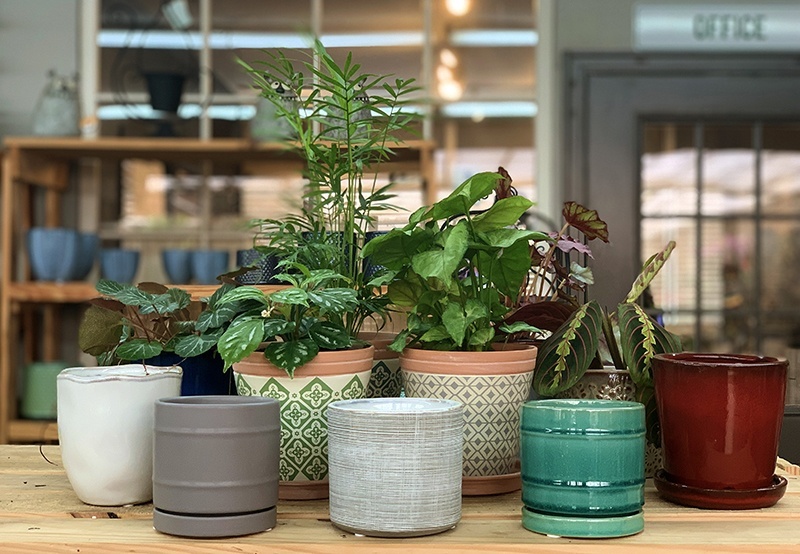 Style Blueprint: 50 Under $50: Your Ultimate Nashville Holiday Gift Guide