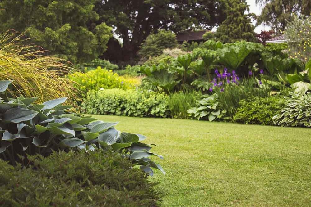 Landscape Design-Where to Start and What to Avoid