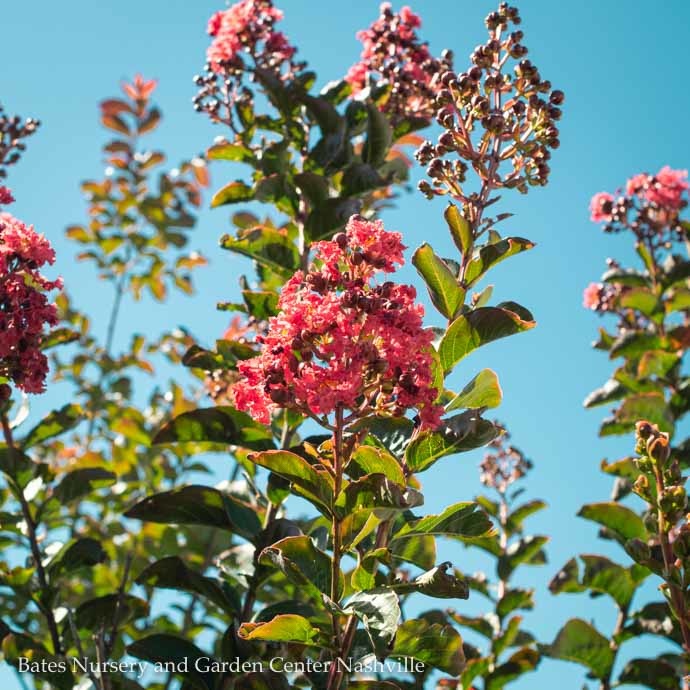 Spring Draws to a Close