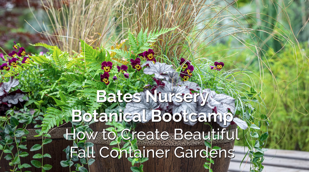 How to Create Beautiful Fall Container Gardens