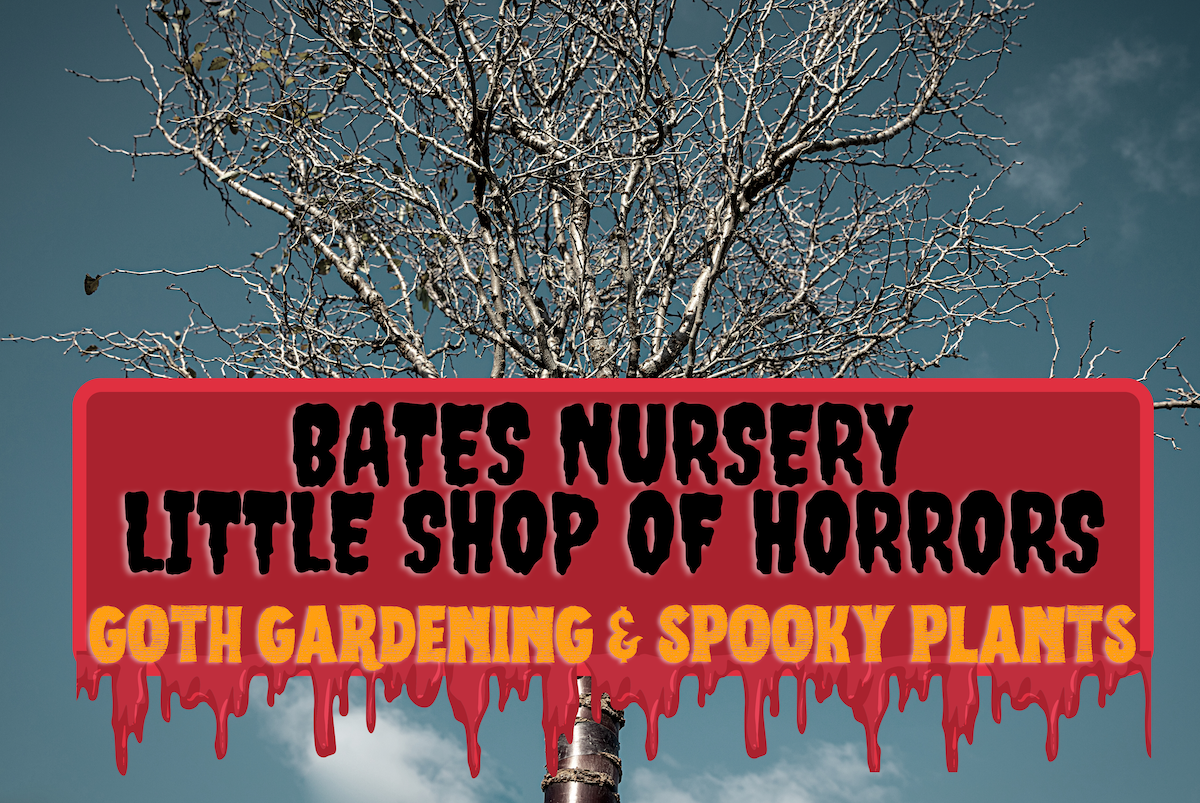 Bates Nursery Little Shop of Horrors