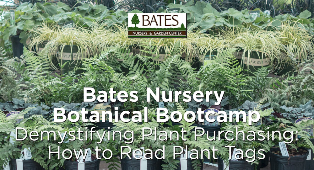 Demystifying Plant Purchasing: How to Read Plant Tags