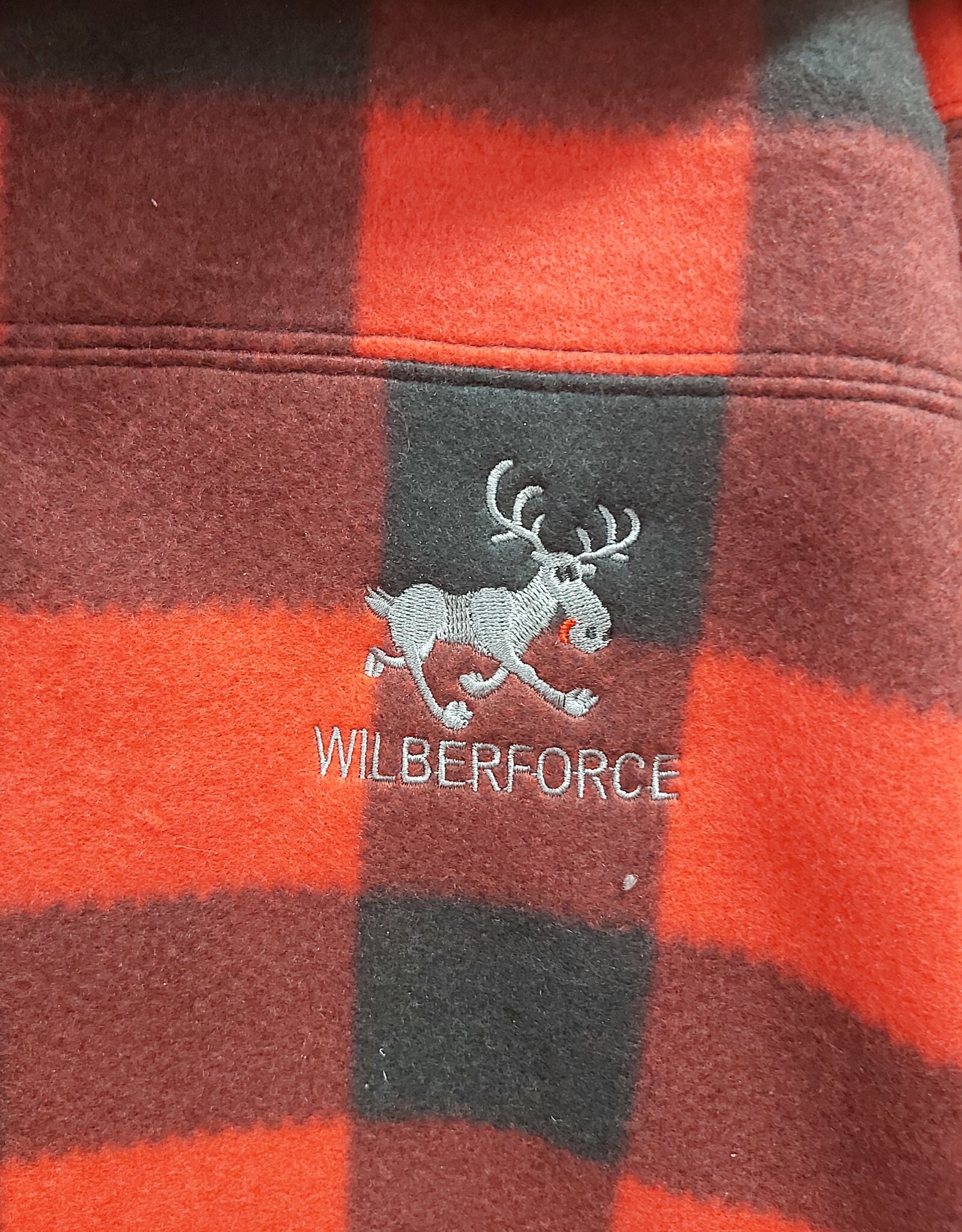 Wilberforce Youth Hoodie Y6014