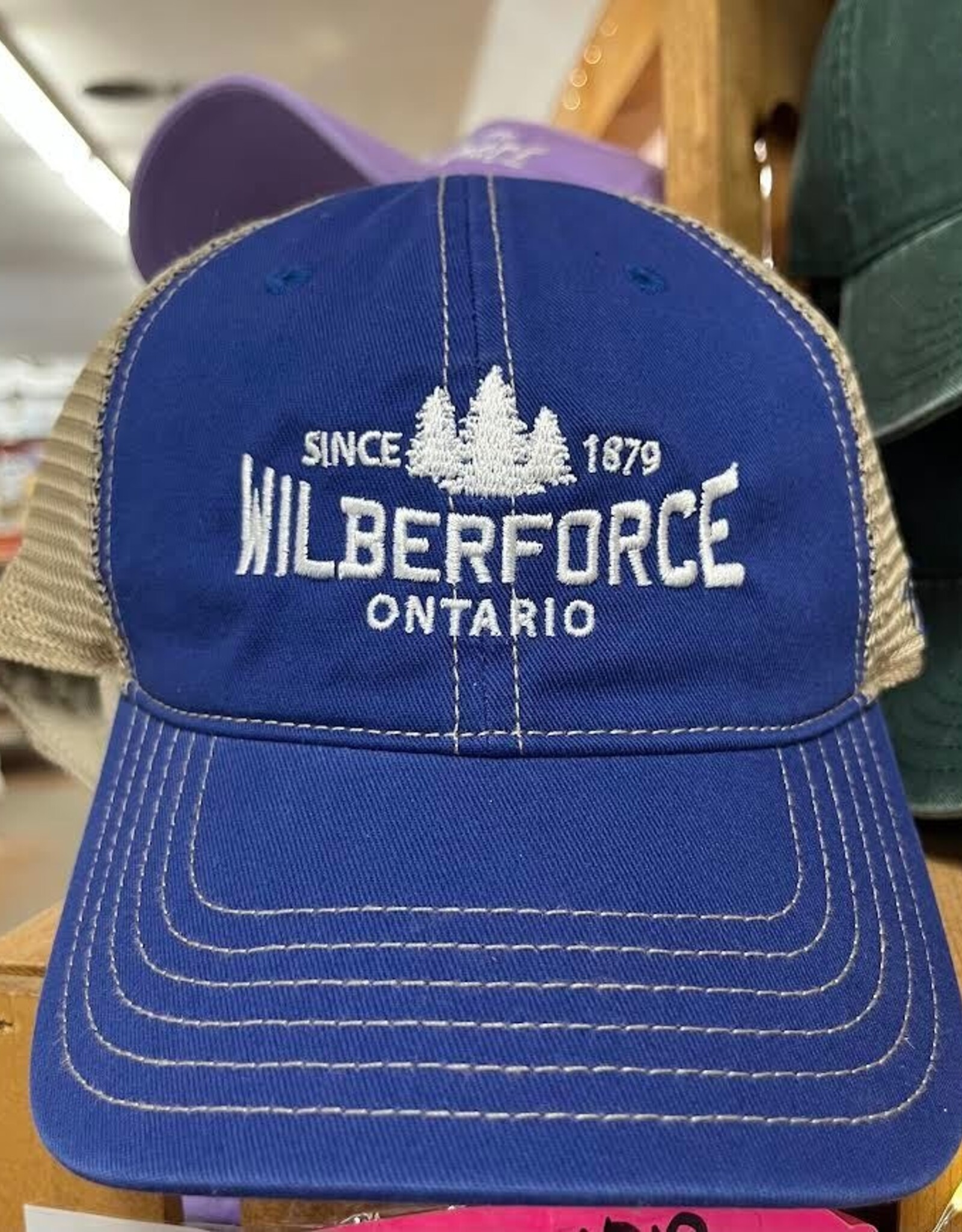Vintage Mesh Back Hat- Royal - Wilberforce Ontario