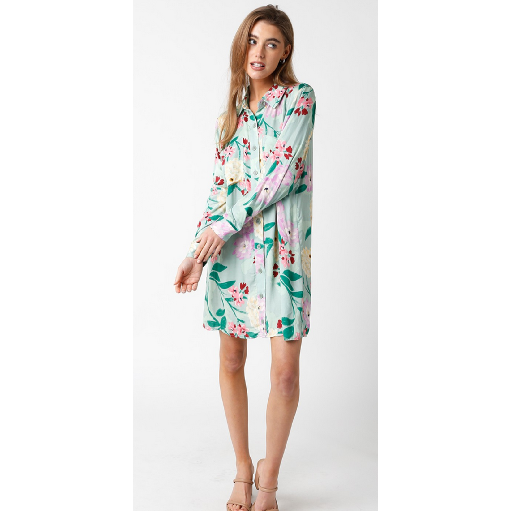 Evelyn Shirt Dress