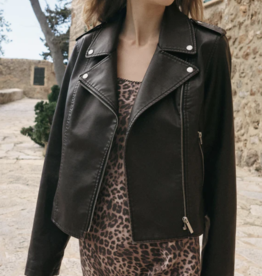 Alchemy Moto Jacket